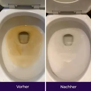 reviews of FizzClean